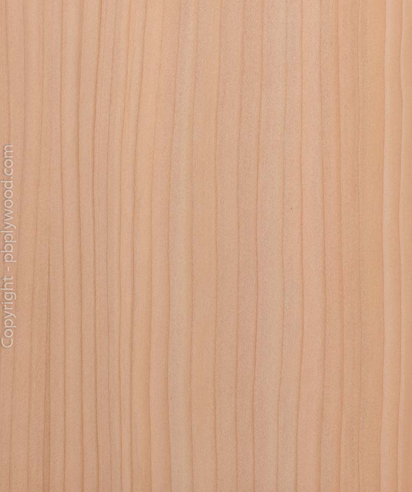 Lebanese Cedar Veneered Standard MDF Peter Benson Plywood Ltd